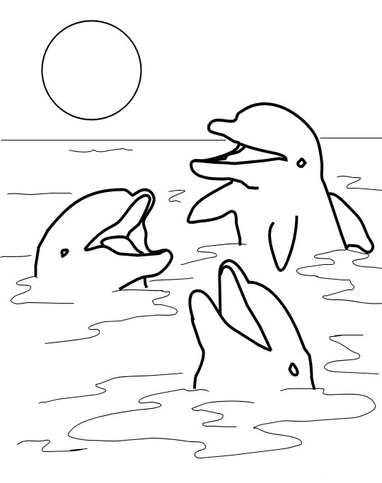 Coloriage de dauphin gratuit