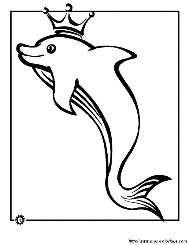 Coloriage dauphin imprimer et colorier