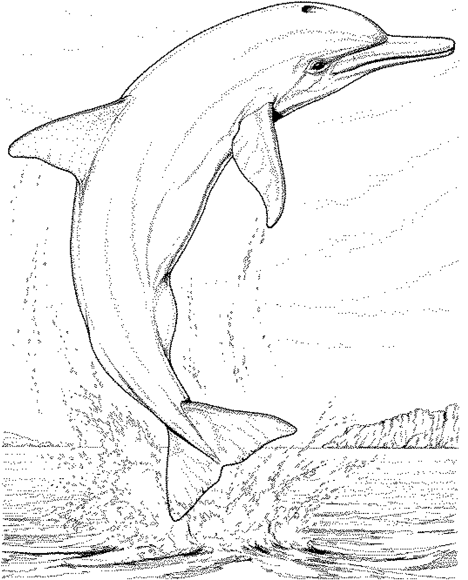 Coloriage gratuit de dauphin a imprimer