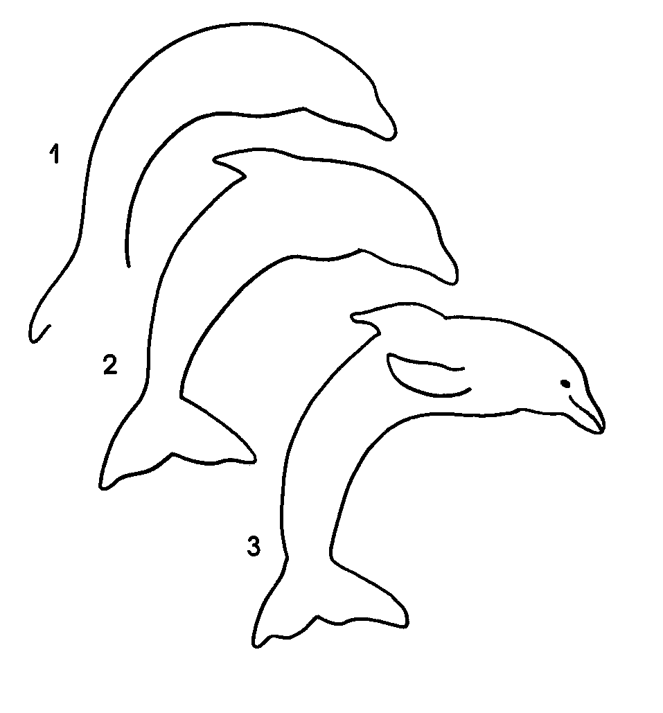 Dessin gratuit de dauphin a colorier