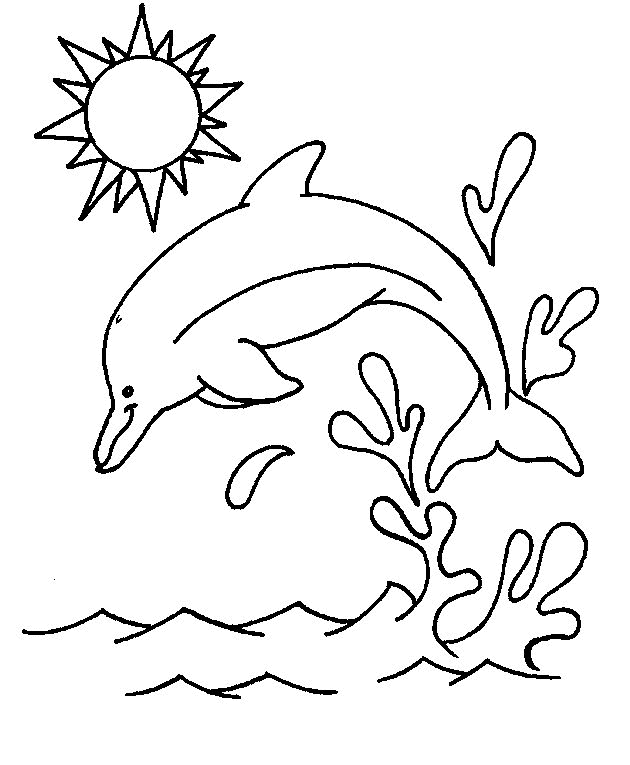 Dessin de dauphin a imprimer