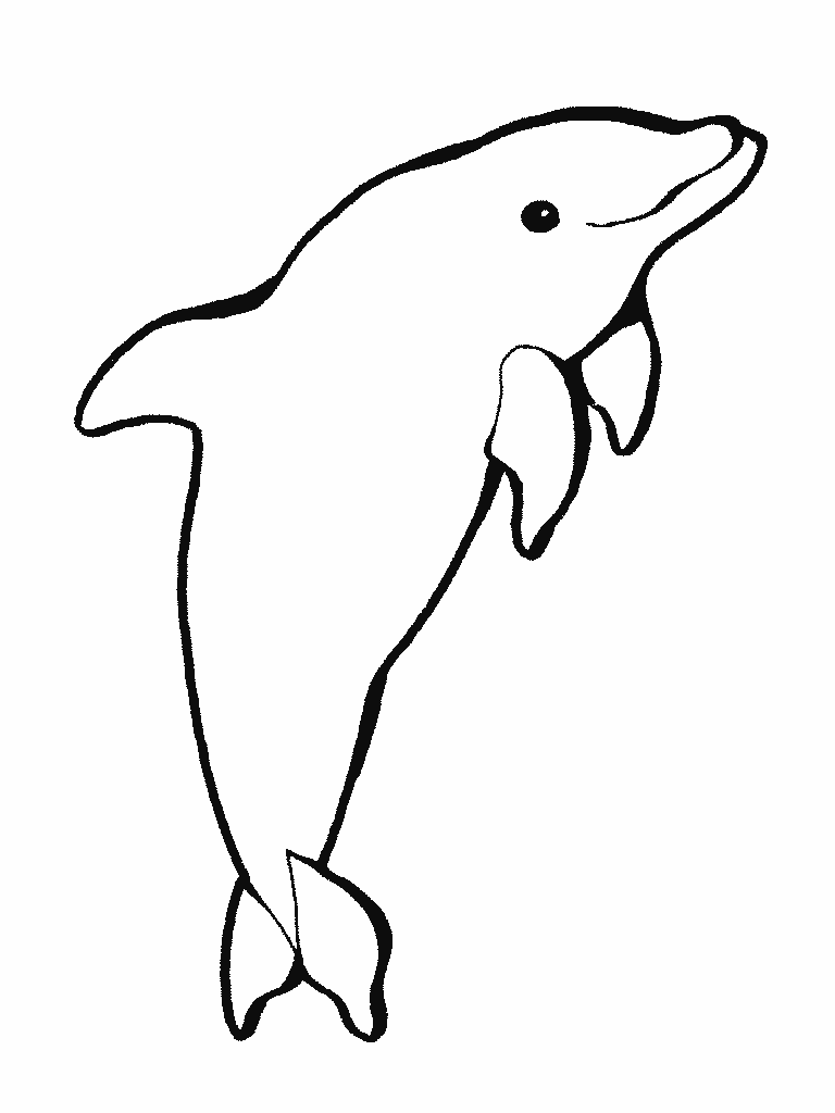 Dessin de dauphin