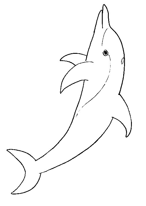 Coloriage dauphin à imprimer