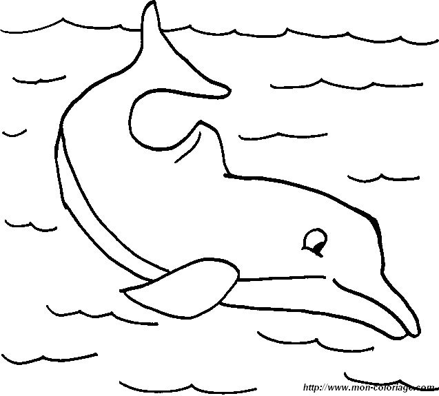 Coloriage de dauphin a imprimer