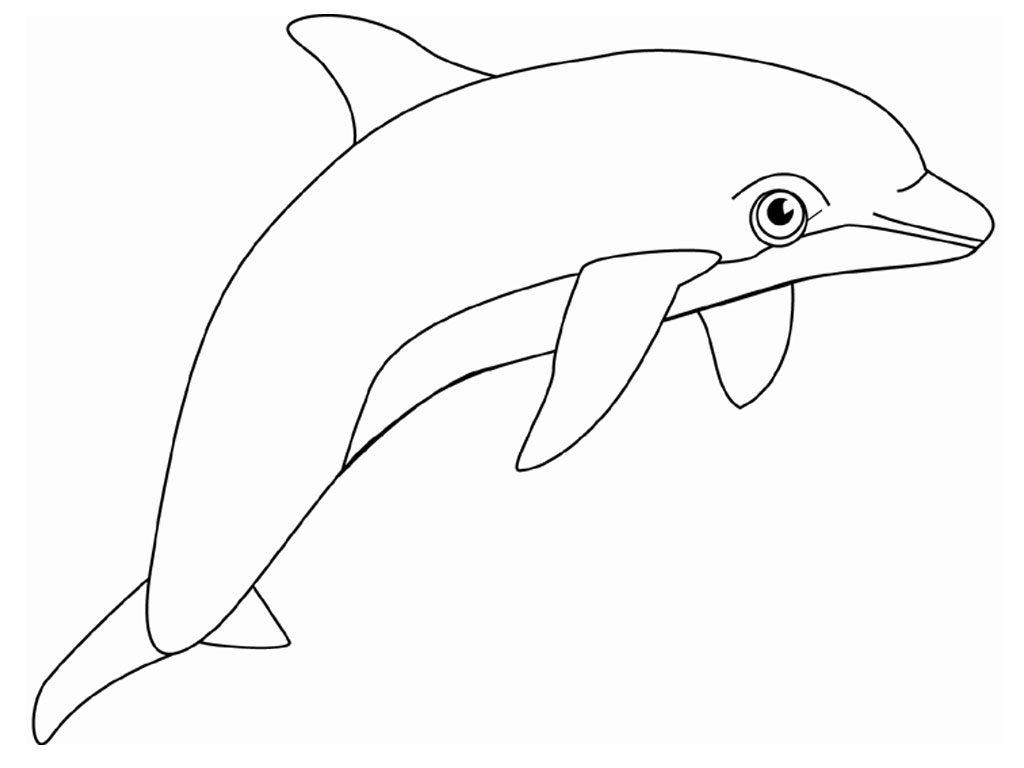 Coloriage de dauphin à imprimer
