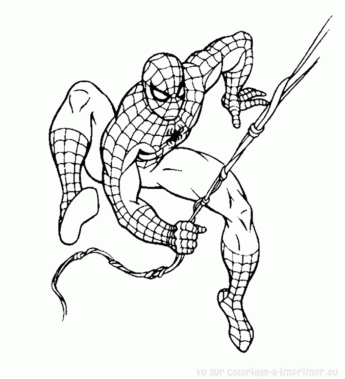 dessin de spiderman à colorier