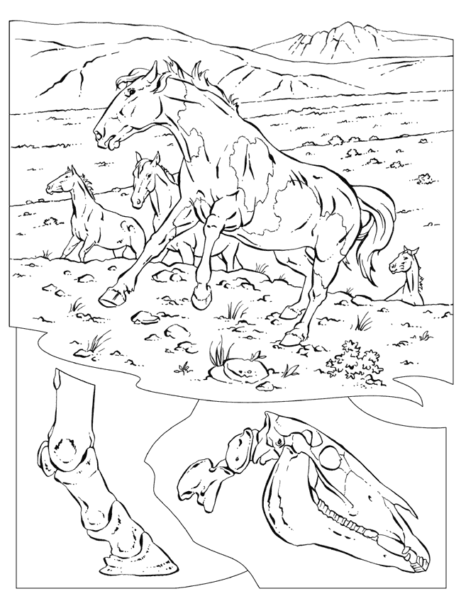 Image #19903 - Coloriage difficile gratuit