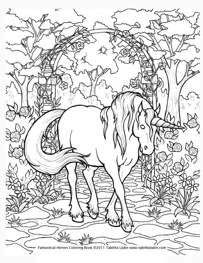 Image #19942 - Coloriage difficile gratuit