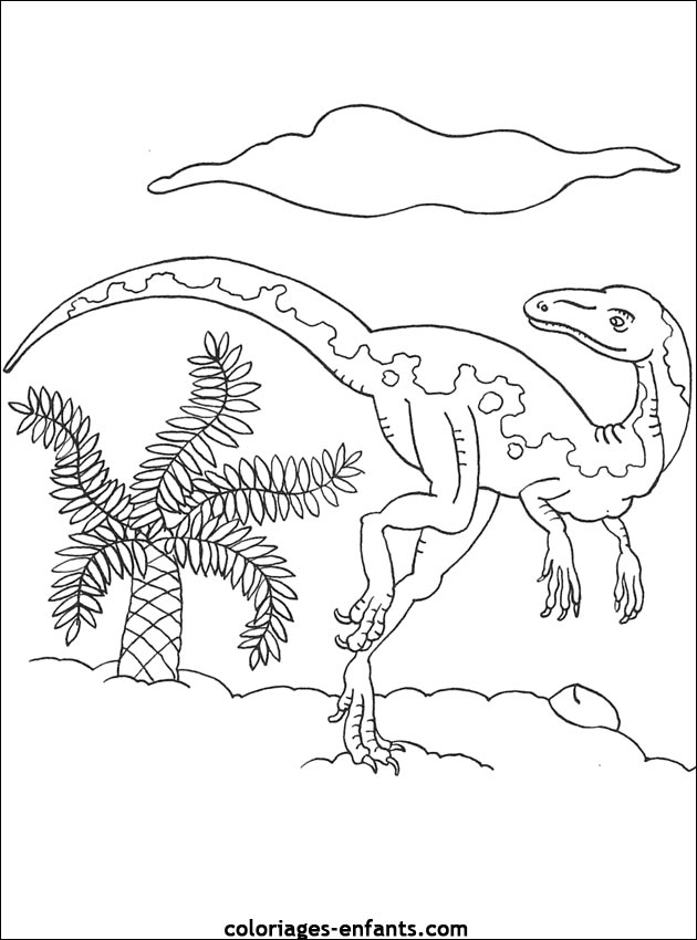Dessin de dinosaure a imprimer