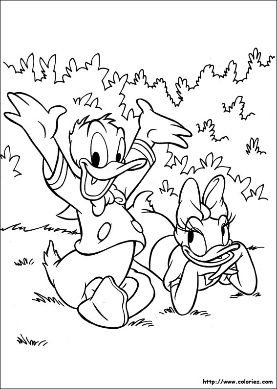 Coloriage donald duck gratuit - dessin a imprimer #271