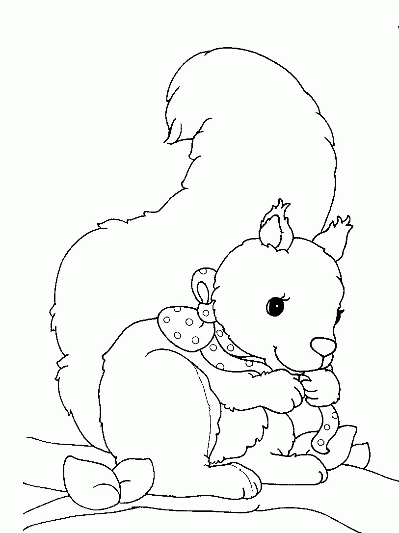 écureuil dessins à colorier 
