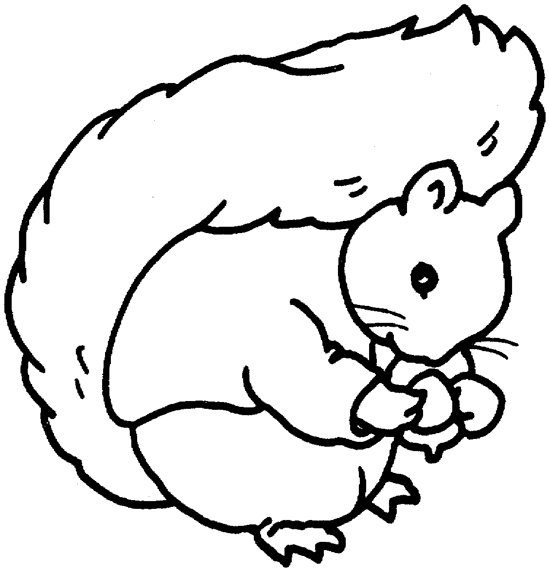 écureuil dessins à colorier pour enfants 