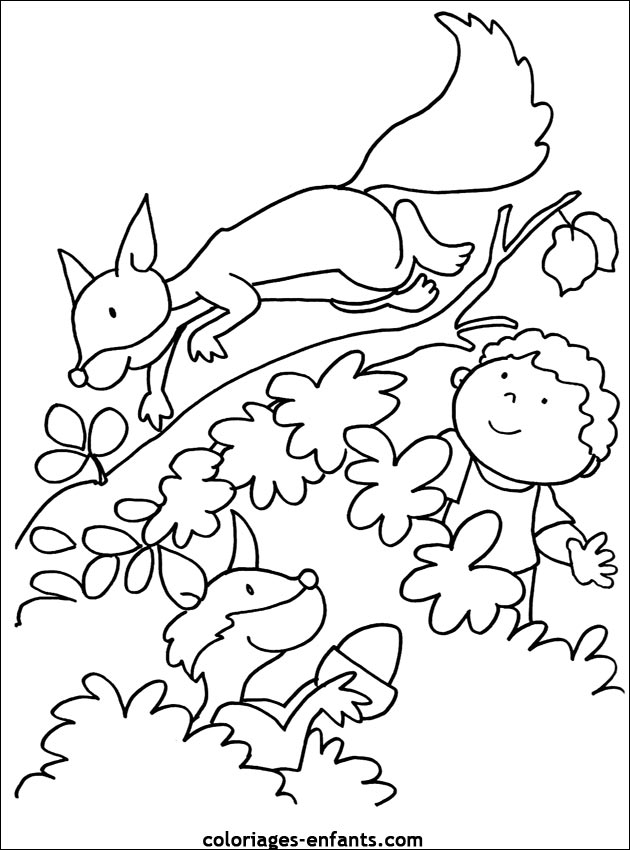 Dessin d'écureuil #167 - Cliquez pour imprimer  coloriage ecureuil coloriage