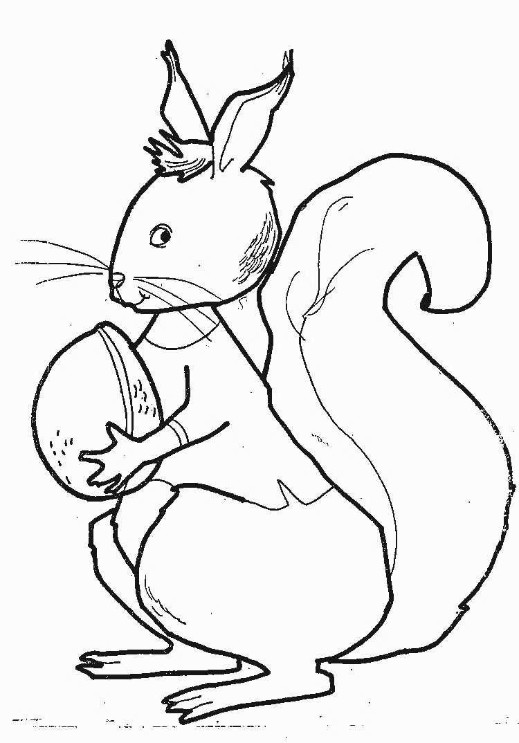 dessins à colorier écureuil dessins à colorier
