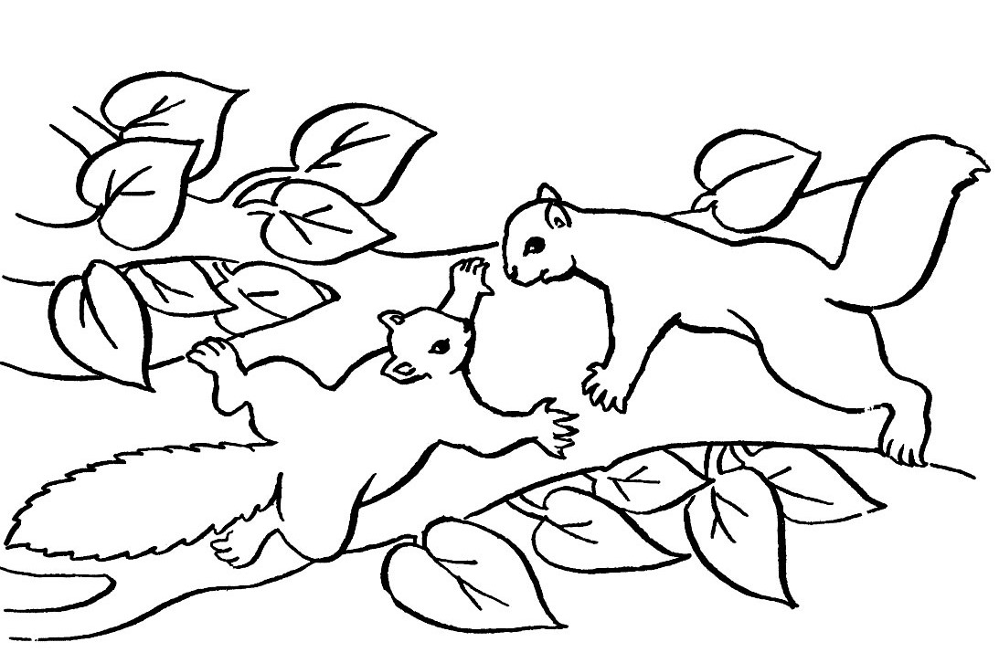 Dessin d'écureuil #20 - Cliquez pour imprimer  coloriages ecureuils coloriage coloriage ecureuil coloriage ecureuils