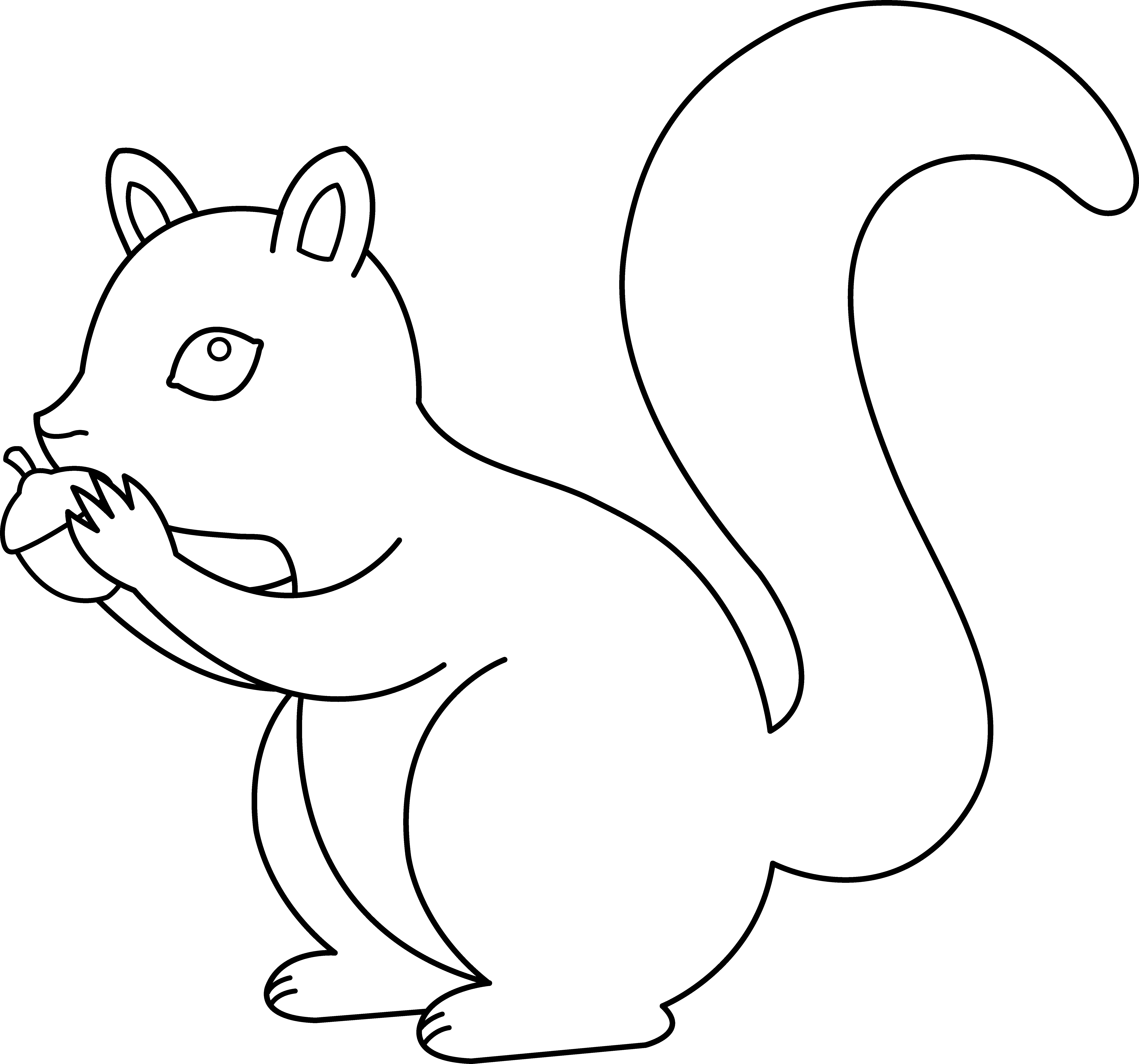 écureuil dessin à colorier