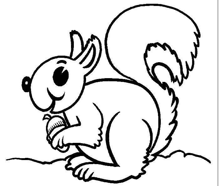  des dessins de ecureuil à colorier
