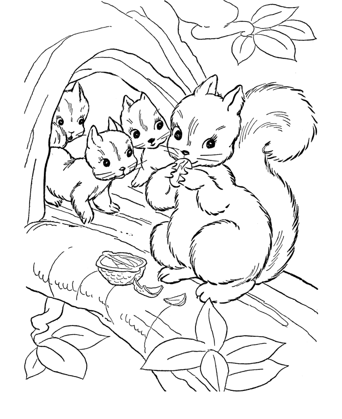 wild animal dessins à colorier écureuil family dessin à colorier et enfants