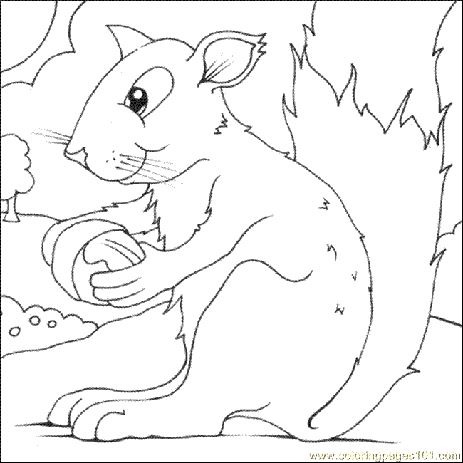 gratuit à imprimer dessin à colorier écureuil colouring (animals écureuil)