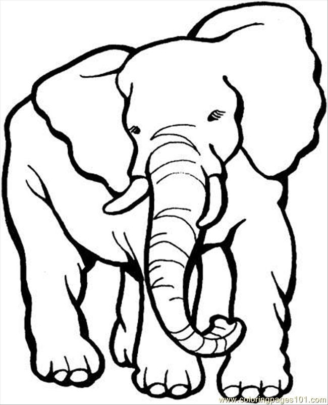 Dessin #12971 - dessin de elephant a colorier