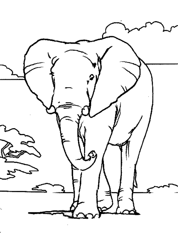 Dessin #12982 - Dessin de elephant gratuit à imprimer et colorier