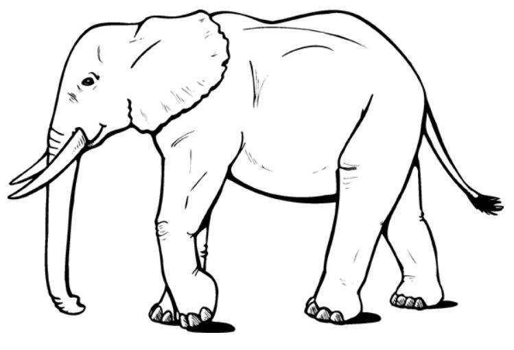 Dessin #12985 - Dessin de elephant à colorier et imprimer