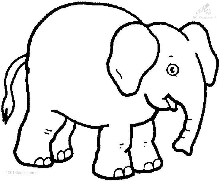 Dessin #12989 - Coloriage elephant