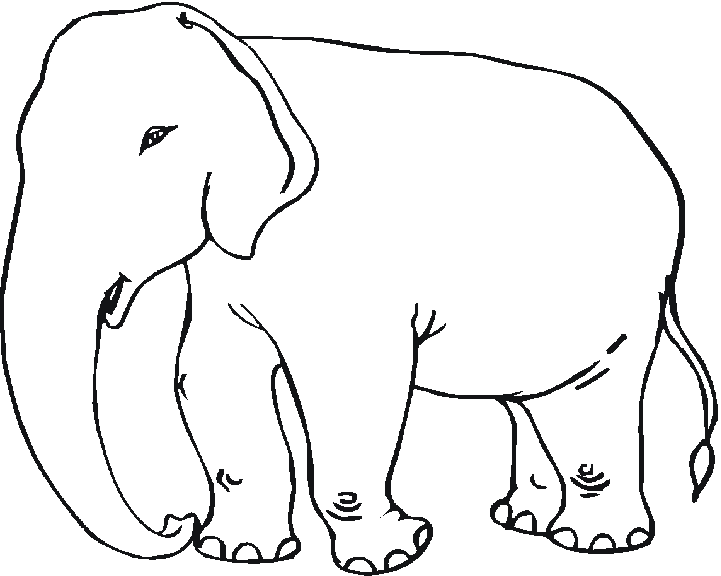 Dessin #12993 - activité de coloriage elephant
