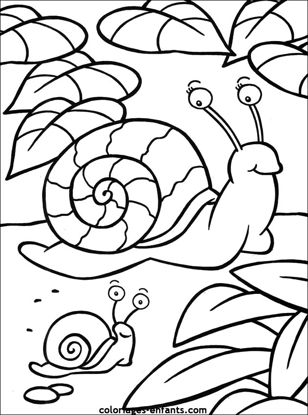 coloriage d'escargots de la rubrique animaux à imprimer de coloriages