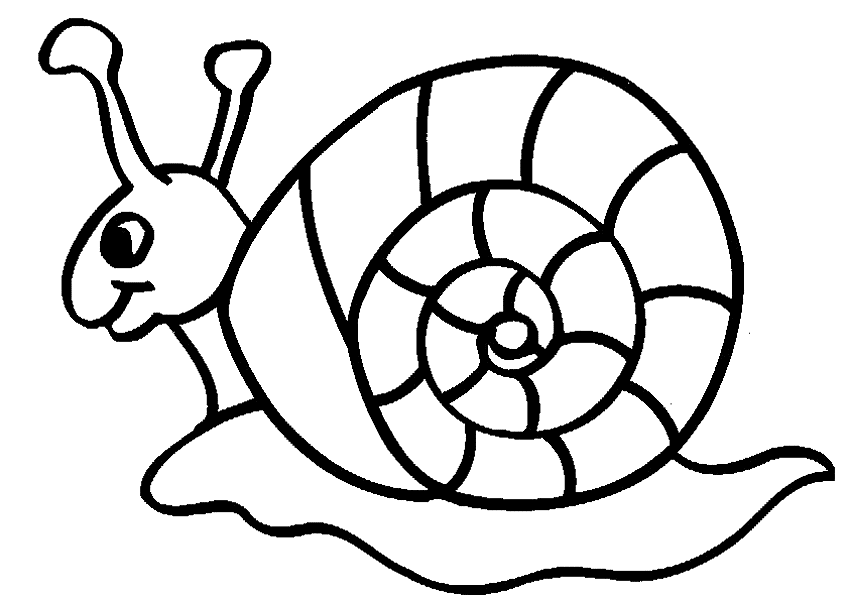 Dessin d'escargot #3 - Cliquez pour imprimer  coloriage escargot