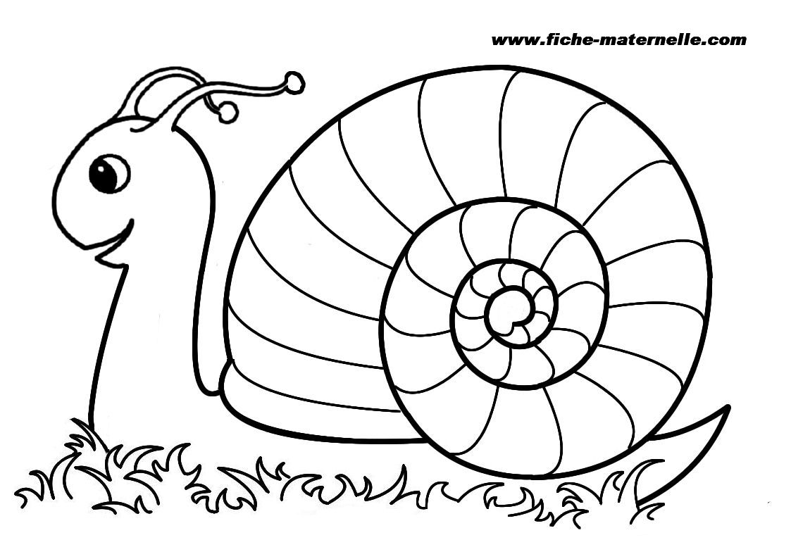 Coloriage Escargots à imprimer Coloriages Animaux - coloriage escargot à imprimer