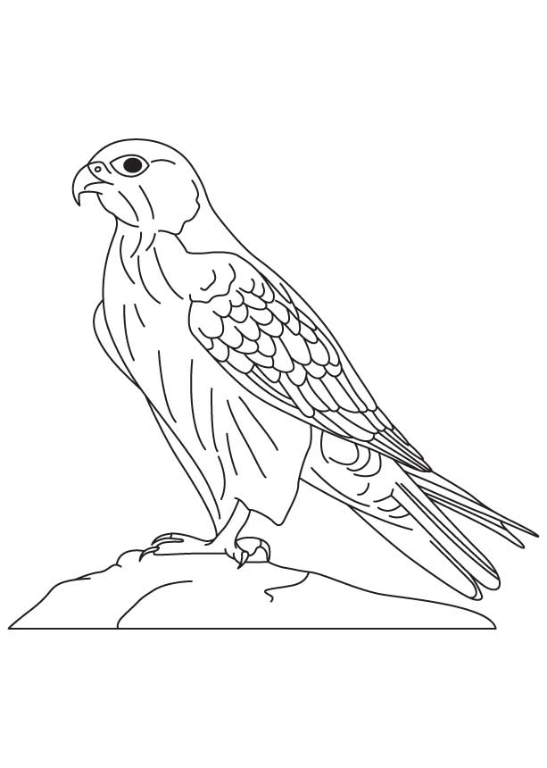 Dessin #13020 - dessin de faucon a colorier et imprimer