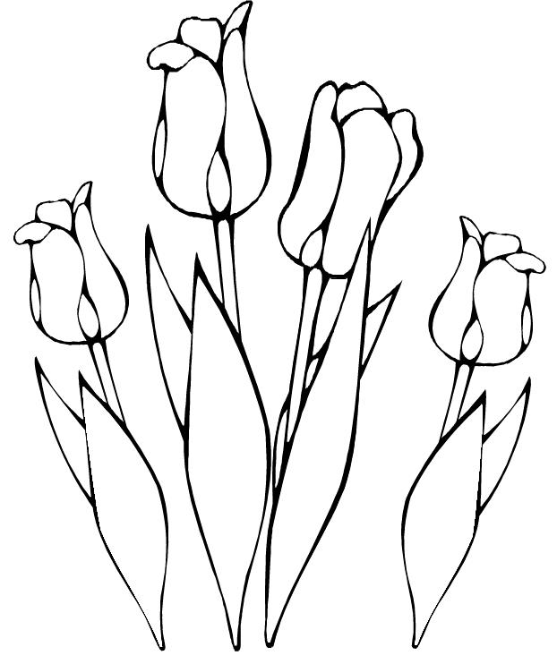coloriage fleurs tulipes