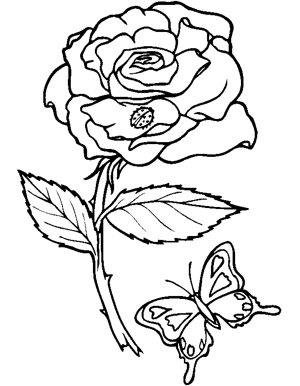 coloriage de fleur a imprimer