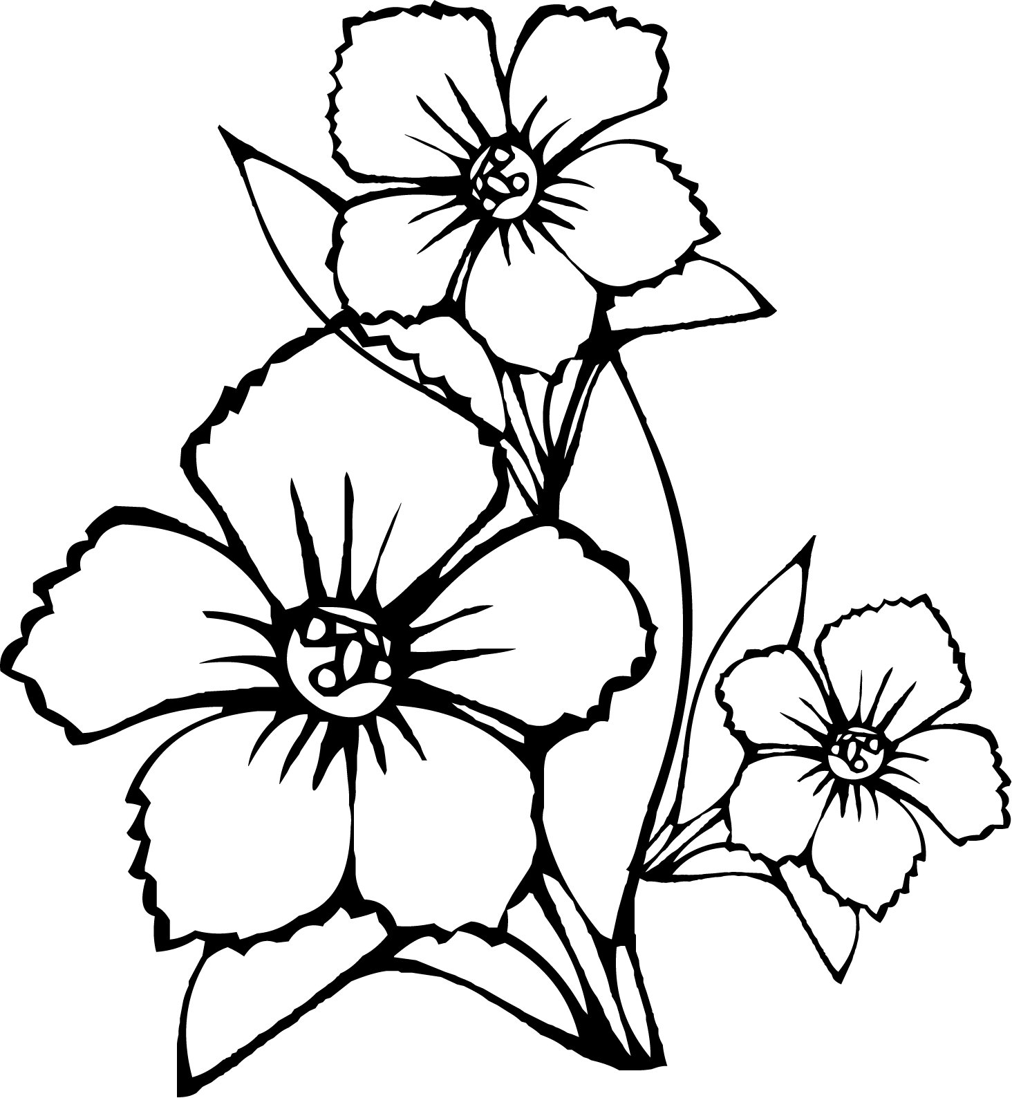 fleur dessins à colorier a imprimer fleur dessin à colorier
