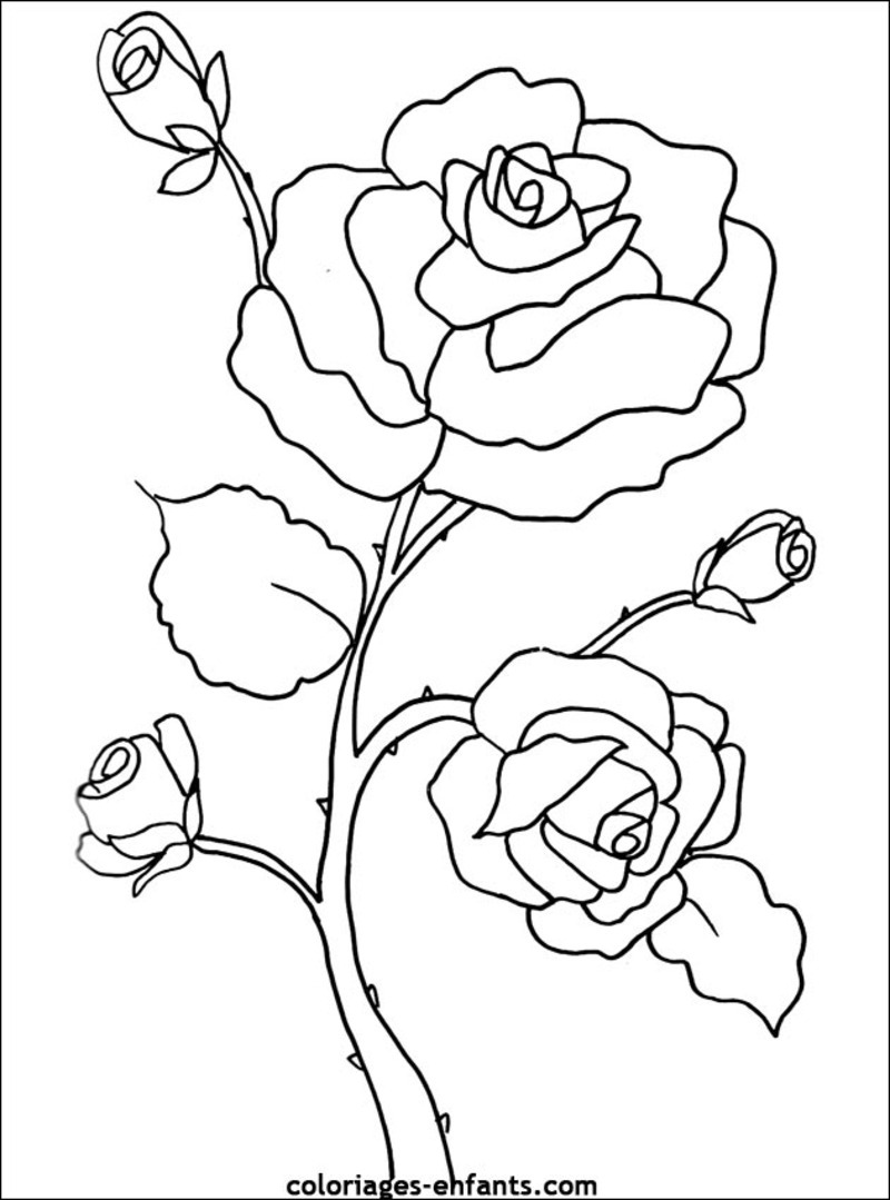 74 Dessins De Coloriage Fleur à Imprimer Sur Page 5