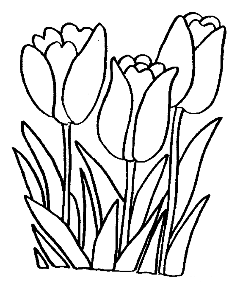 fleurs dessins à colorier 