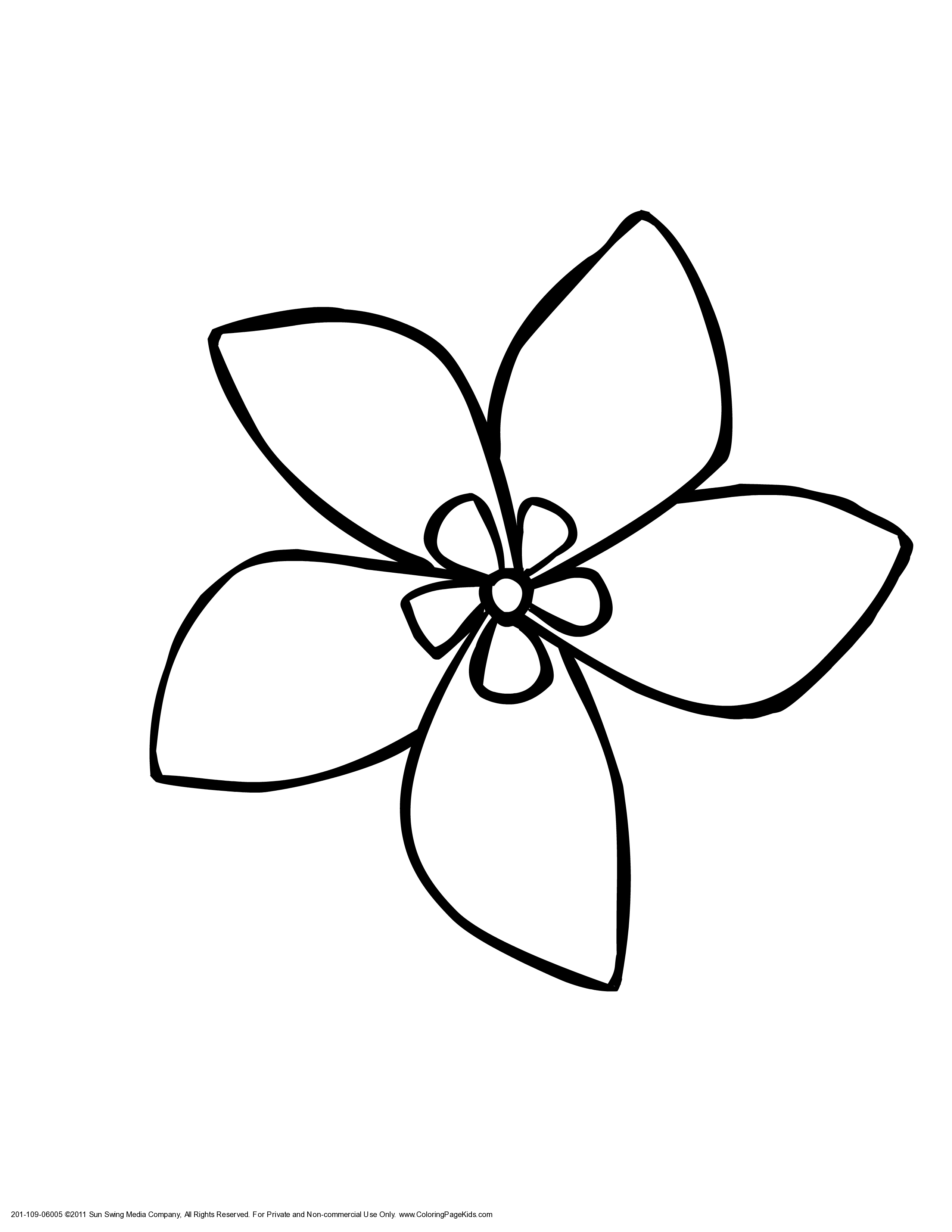 indian jasmine fleur dessin à colorier