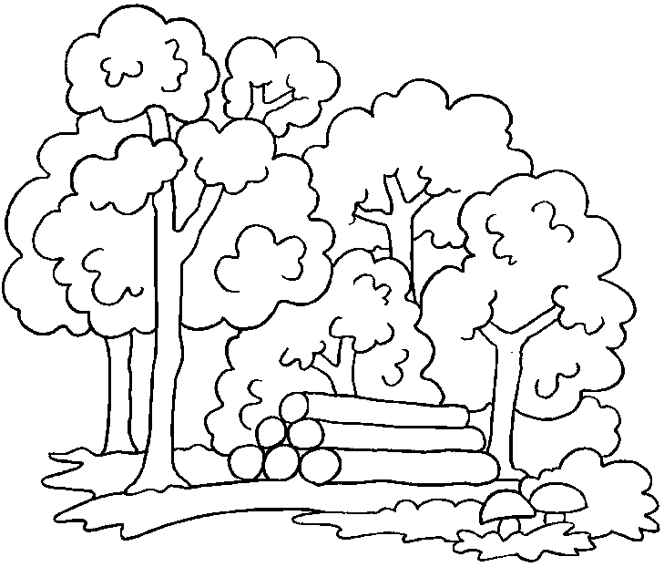  des dessins de arbre à colorier