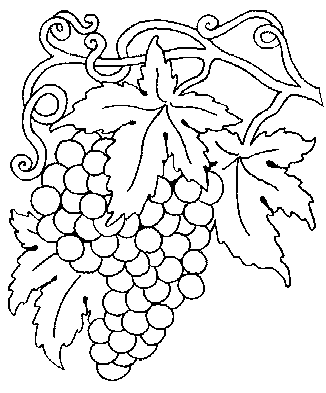 coloriage fruits raisin à colorier 