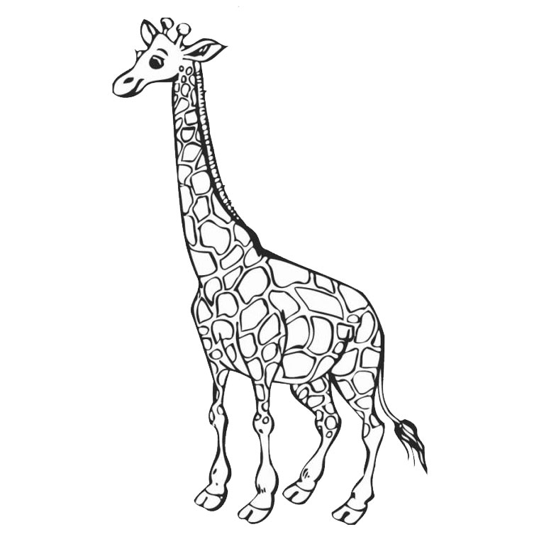 Dessin #13047 - image de girafe a imprimer et colorier