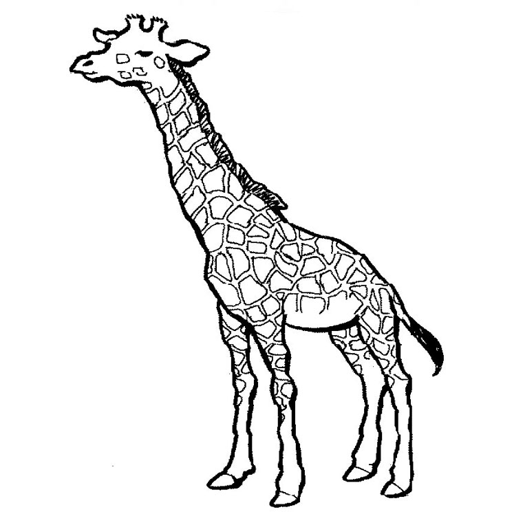 Dessin #13056 - Dessin gratuit girafe a imprimer