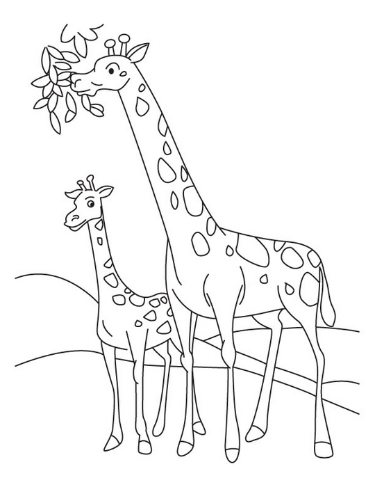 Dessin #13058 - Coloriage de girafe gratuit à imprimer