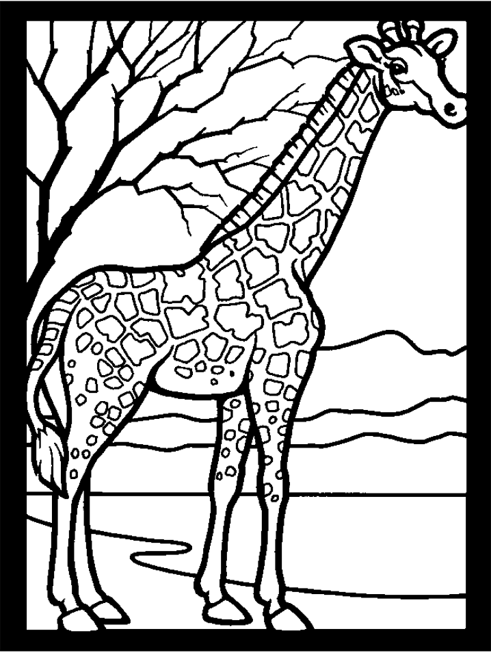 Dessin #13069 - Une Jolie image de girafe a colorier