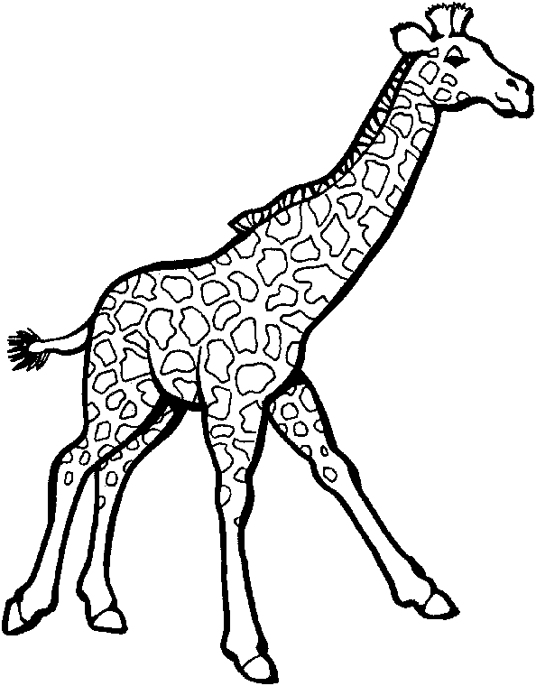Dessin #13077 - Coloriage de girafe gratuit