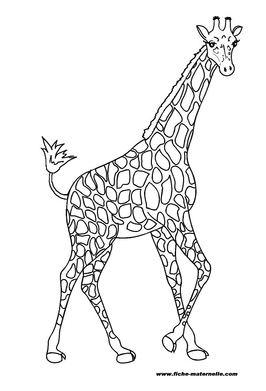 Dessin #13086 - Dessin de girafe à imprimer