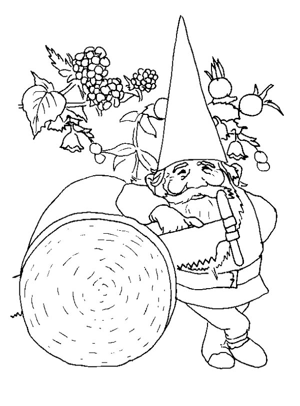 Image #24643 - Coloriage gnomes gratuit