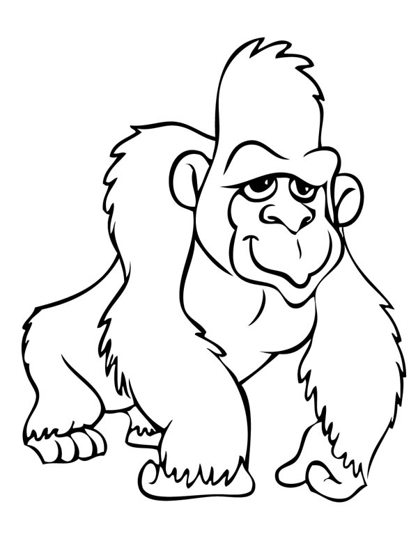 Dessin #13093 - Dessin de gorille