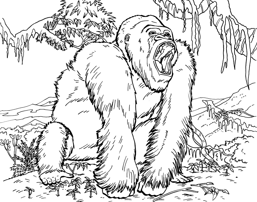 Dessin #13095 - Dessin de gorille a colorier et imprimer