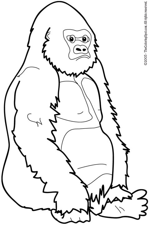 Dessin #13097 - coloriage gorille a imprimer